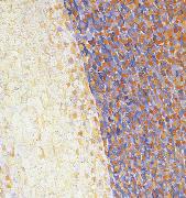 Detail of Dance Georges Seurat